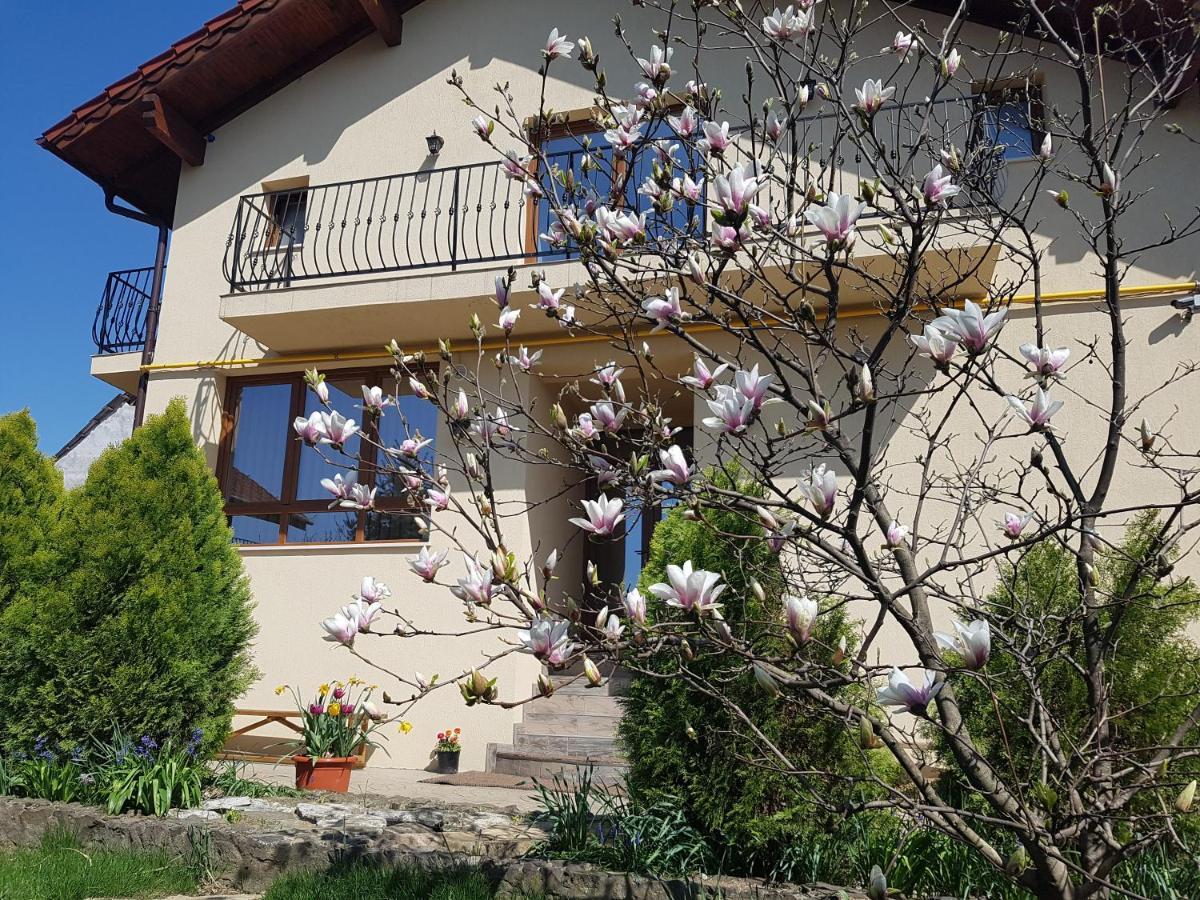 Casa Irinella Bed & Breakfast ซาตูมาเร ภายนอก รูปภาพ
